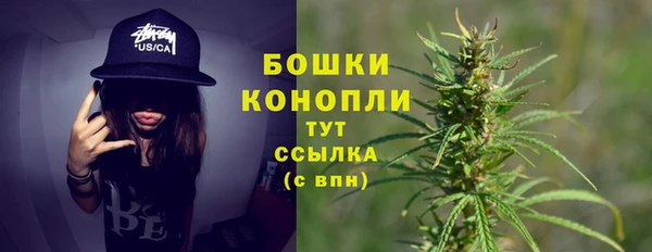 дживик Киренск