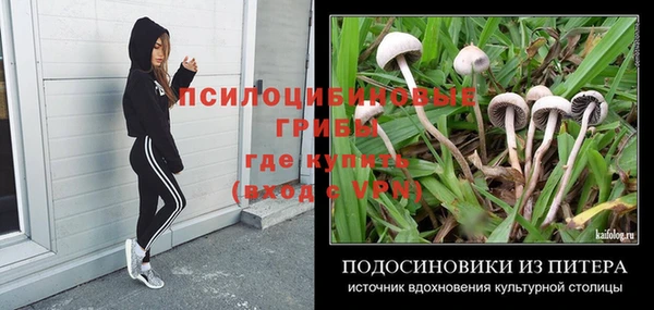 амф Карпинск