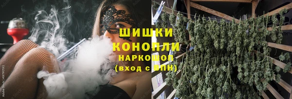 сатива Кинешма