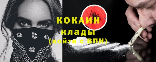 сатива Кинешма