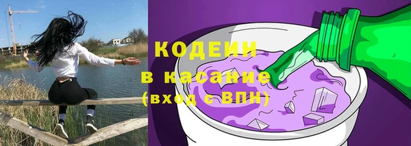 сатива Кинешма
