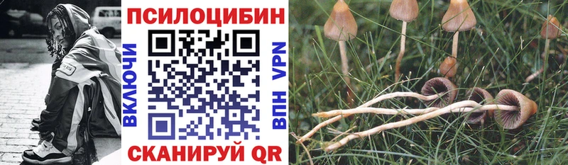 Купить закладки  Жигулёвск  Галлюциногенные грибы MAGIC MUSHROOMS 